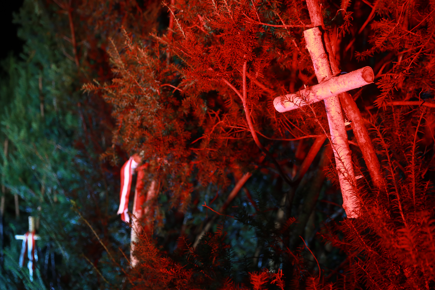 Uroczystości w KGP w 21. rocznicę otwarcia Polskiego Cmentarza Wojennego w Miednoje – 2 września 2021. Fot. Sławek Kasper (IPN) Uroczystości w KGP w 21. rocznicę otwarcia Polskiego Cmentarza Wojennego w Miednoje – 2 września 2021. Fot. Sławek Kasper (IPN)