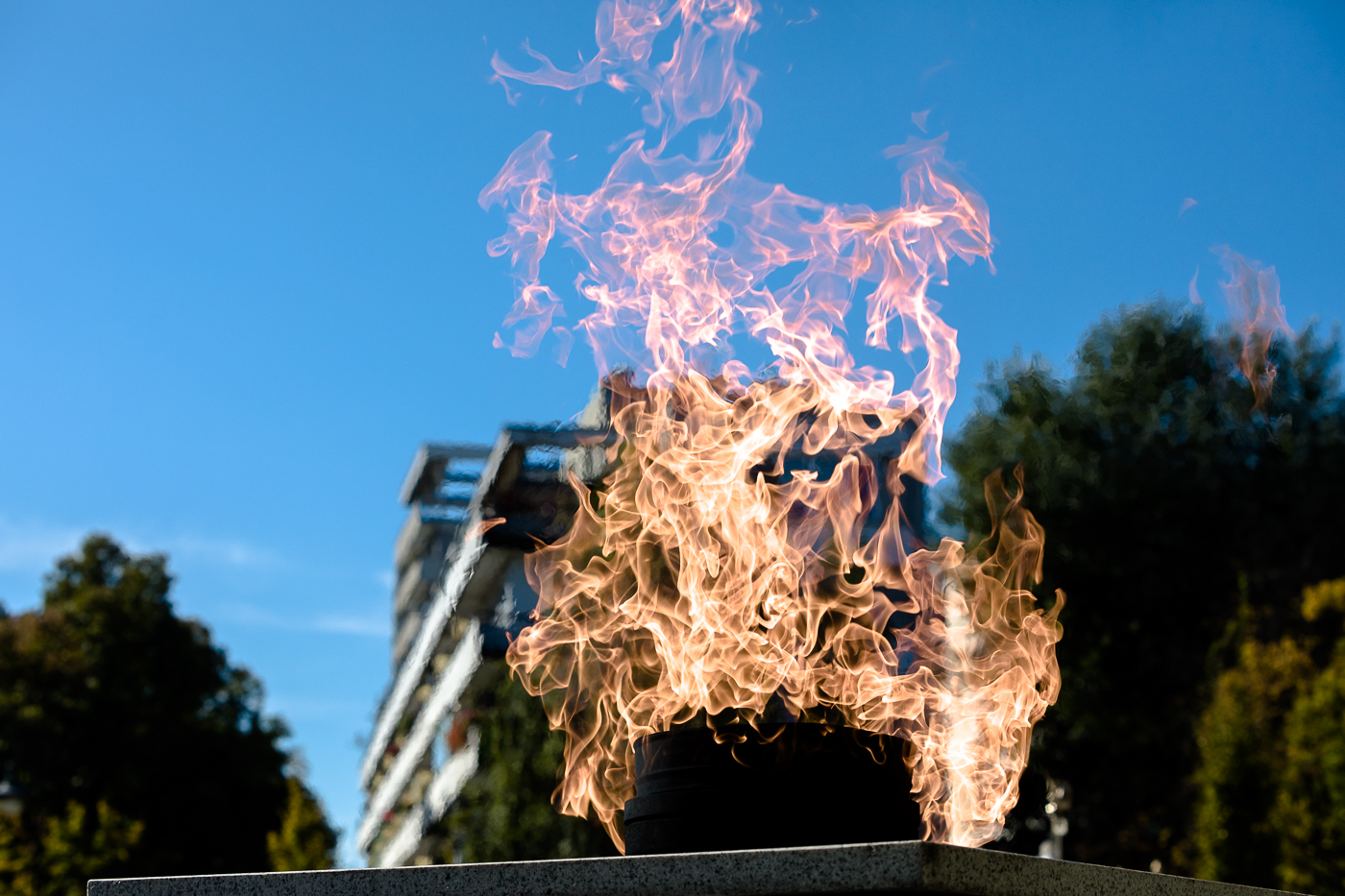 82. rocznica powstania Polskiego Państwa Podziemnego – Warszawa, 27 września 2021. Fot. Sławek Kasper (IPN) 82. rocznica powstania Polskiego Państwa Podziemnego – Warszawa, 27 września 2021. Fot. Sławek Kasper (IPN)