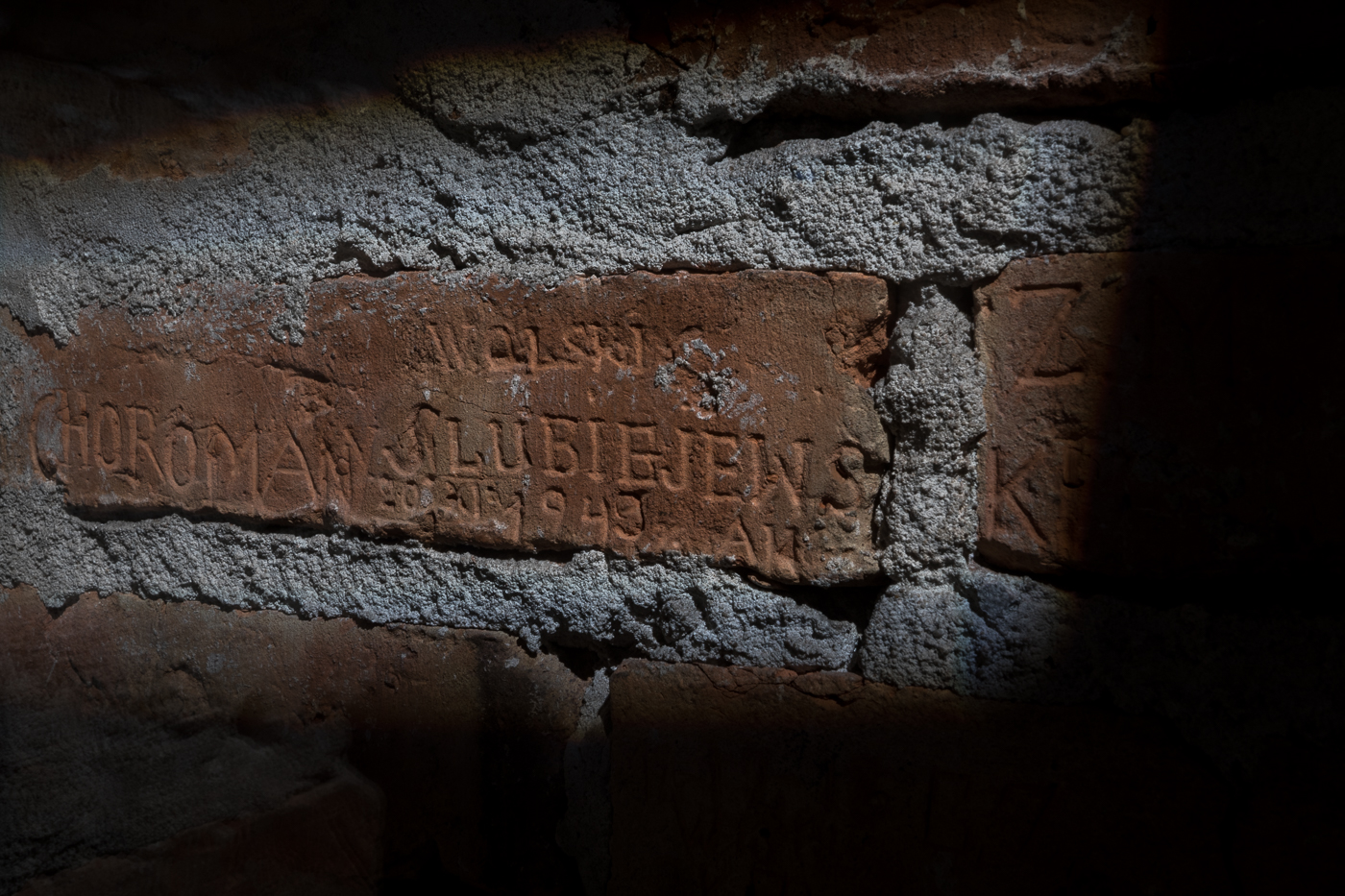 Strzelecka 8 – miejsce kaźni polskich działaczy podziemia niepodległościowego. Fot. Sławek Kasper (IPN)