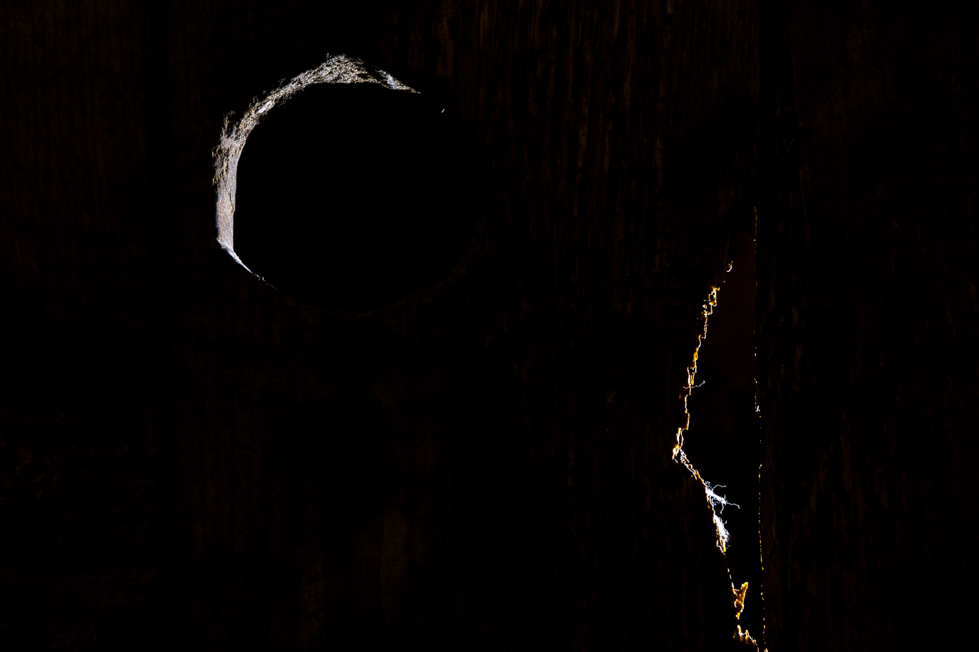 Strzelecka 8 – miejsce kaźni polskich działaczy podziemia niepodległościowego. Fot. Sławek Kasper (IPN)