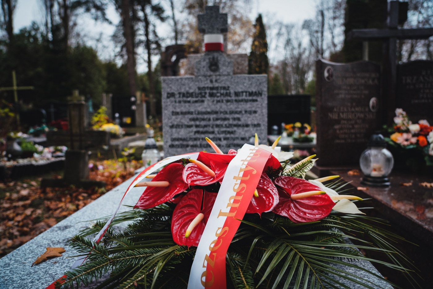 Nowy nagrobek rotmistrza Tadeusza Nittmana – fot. Mateusz Niegowski/BUWiM IPN Nowy nagrobek rotmistrza Tadeusza Nittmana – fot. Mateusz Niegowski/BUWiM IPN