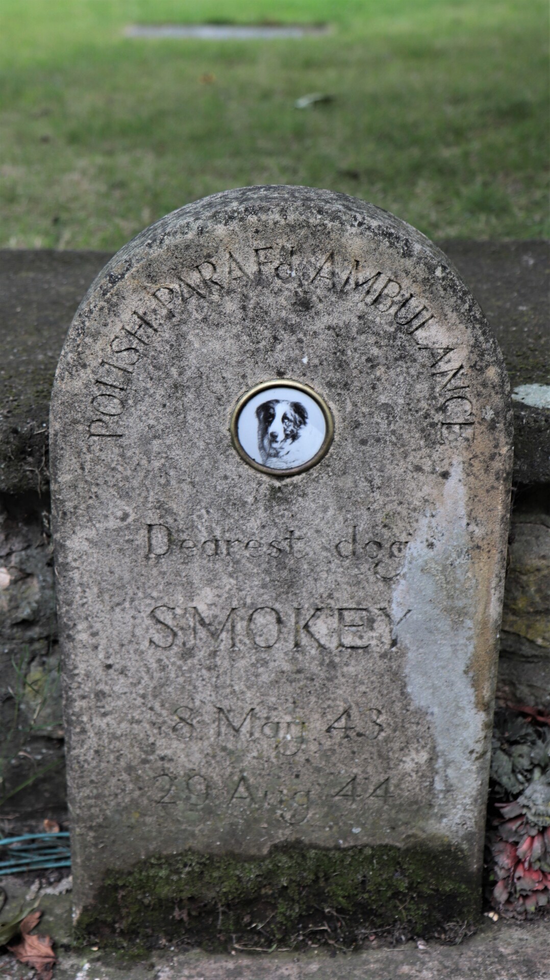 Upamiętnienie poświęcone psu Smokey. Upamiętnienie poświęcone psu Smokey.