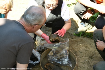 Łódź (Brus): Odnaleziono ludzkie szczątki podczas czwartego etapu prac – 28 czerwca 2024. Fot. Tomasz Trzaska (IPN)