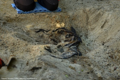 Łódź (Brus): Odnaleziono ludzkie szczątki podczas czwartego etapu prac – 28 czerwca 2024. Fot. Tomasz Trzaska (IPN)