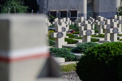 Obchody 104. rocznicy bitwy pod Zadwórzem – Ukraina, 17 sierpnia 2024. Fot. Mateusz Niegowski (IPN)