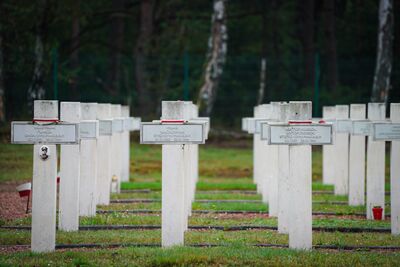 Delegacja IPN na Polskim Cmentarzu Wojennym w Lommel – 4 września 2024. Fot. Mateusz Niegowski (IPN)