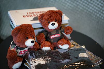 Wystawa „Szlaki Nadziei. Odyseja Wolności” w Bredzie – 4 września 2024. Fot. Mateusz Niegowski (IPN)