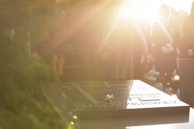 Uroczystości z okazji 80. rocznicy Operacji Market Garden – Wrocław, 10 września 2024. Fot. Mikołaj Bujak (IPN)