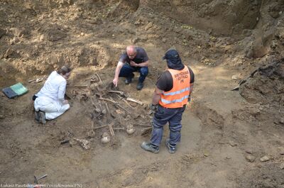 VI etap prac poszukiwawczych na Górkach Czechowskich w Lublinie – 18 września 2024. Fot. Łukasz Pasztaleniec (IPN)