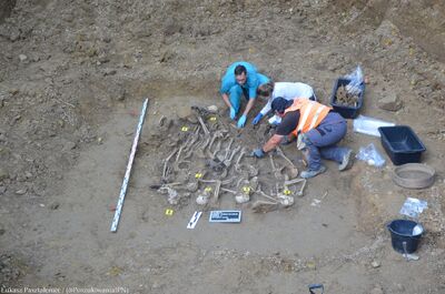 VI etap prac poszukiwawczych na Górkach Czechowskich w Lublinie – 18 września 2024. Fot. Łukasz Pasztaleniec (IPN)