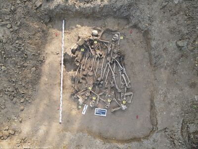 VI etap prac poszukiwawczych na Górkach Czechowskich w Lublinie – 18 września 2024. Fot. Krzysztof Radka (IPN)