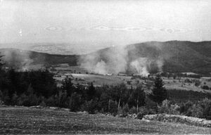 Tereny Wiśniowej, Lipnika i Zasani po niemieckiej pacyfikacji z 18 września 1944 r. Zdjęcia wykonał oficer AK, por. Karol Orell „Anton”. Fot. ze zbiorów IPN