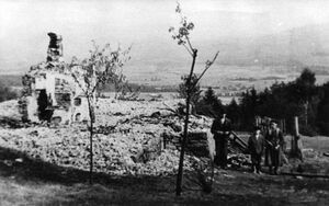 Tereny Wiśniowej, Lipnika i Zasani po niemieckiej pacyfikacji z 18 września 1944 r. Zdjęcia wykonał oficer AK, por. Karol Orell „Anton”. Fot. ze zbiorów IPN