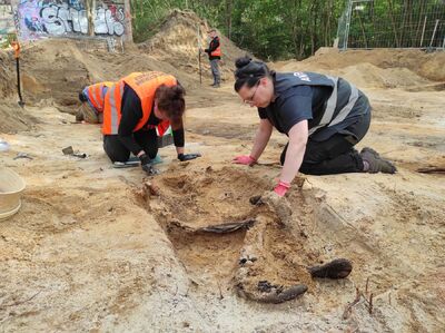 Prace poszukiwawcze IPN na dawnym poligonie wojskowym Brus w Łodzi – wrzesień 2024. Fot. BPiI IPN