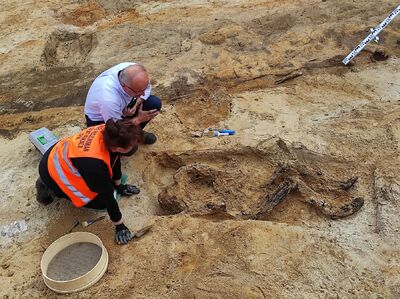 Prace poszukiwawcze IPN na dawnym poligonie wojskowym Brus w Łodzi – wrzesień 2024. Fot. BPiI IPN