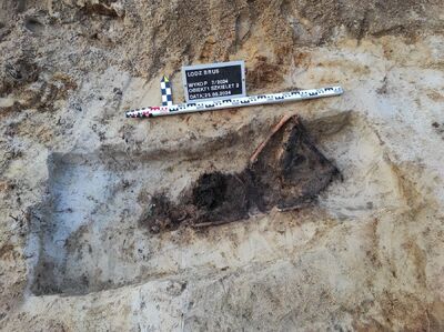 Prace poszukiwawcze IPN na dawnym poligonie wojskowym Brus w Łodzi – wrzesień 2024. Fot. BPiI IPN