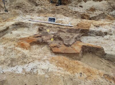 Prace poszukiwawcze IPN na dawnym poligonie wojskowym Brus w Łodzi – wrzesień 2024. Fot. BPiI IPN