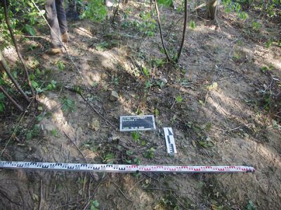 Zespół pracowników BPiI IPN przeprowadził prace poszukiwawcze na Wileńszczyźnie – Dębniaki, 17–20 września 2024. Fot. IPN