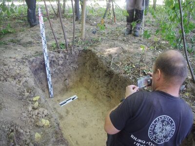 Zespół pracowników BPiI IPN przeprowadził prace poszukiwawcze na Wileńszczyźnie – Dębniaki, 17–20 września 2024. Fot. IPN