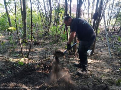 Zespół pracowników BPiI IPN przeprowadził prace poszukiwawcze na Wileńszczyźnie – Posol, 10–16 września 2024. Fot. IPN