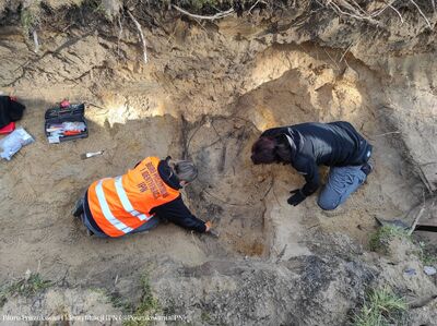 Białystok: na cmentarzu przy ul. 11 listopada odnaleziono szczątki ofiar terroru komunistycznego