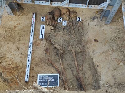 Białystok: na cmentarzu przy ul. 11 listopada odnaleziono szczątki ofiar terroru komunistycznego