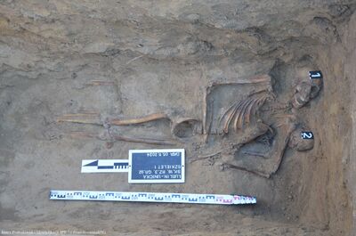 Kolejny etap prac poszukiwawczych na terenie Cmentarza Rzymskokatolickiego w Lublinie – 4–8 listopada 2024. Fot. Łukasz Pasztaleniec (OBPiI IPN w Lublinie)