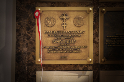 fot. Mateusz Niegowski/BUWiM