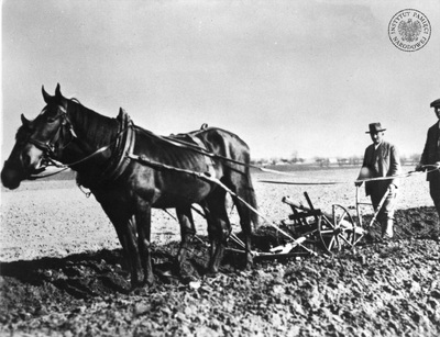 Wincenty Witos (2P) podczas prac polowych. Reprodukcja z wydawnictwa Krajowej Agencji Wydawniczej „Kronika Krakowska. Wincenty Witos”. Fot. ze zbiorów AIPN (IPNBU-1-4-5-10)