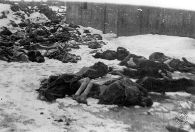 syg. GK-9-1-57-3, Zwłoki zmarłych więźniów KL Auschwitz-Birkenau znalezione na terenie obozu po wyzwoleniu przez wojska radzieckie. Autor nieznany. Domena publiczna. Źródło AIPN.