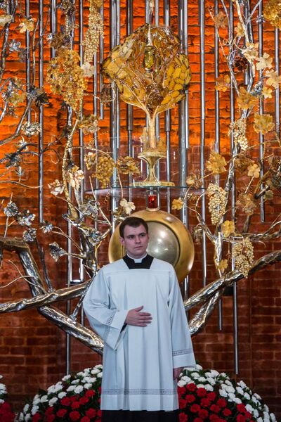 Grudzień ’70 – uroczystości w 47. rocznicę krwawej pacyfikacji protestów robotniczych na Wybrzeżu – 17 grudnia 2017. Fot. Sławomir Kasper (IPN) #14