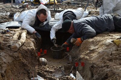 Stary Grodków. Fot. Krzysztof Szwagrzyk
