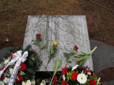 Uroczystości w Neubrandenburgu - 8 marca 2018