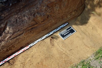 Prace poszukiwawcze BPiI IPN w Nowogrodzie