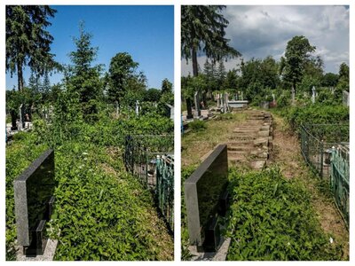 Mogiły przed i po wykarczowaniu (fot. Anna Żukowska)