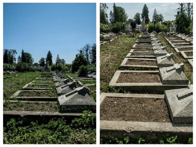 Mogiły przed i po sprzątaniu (fot. Anna Żukowska)