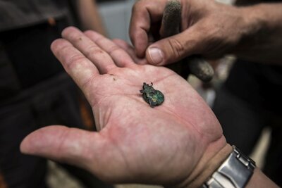 Prace poszukiwawcze na terenie więzienia przy ul. Rakowieckiej w Warszawie. Fot. Marta Smolańska (IPN)