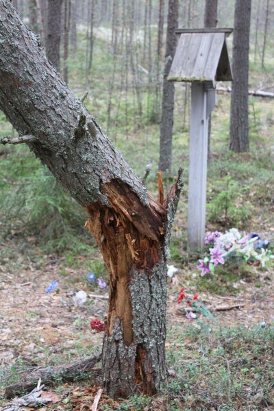 Uroczysko Sandarmoch na przedmieściach Miedwieżjegorska, gdzie rozstrzelano w ramach tzw. Wielkiego Terroru w okresie 1937 – 1938 ponad 9 tysięcy osób.