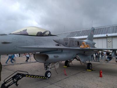 IPN podczas Radom Air Show 2018 – 25 i 26 sierpnia 2018. Fot. Tomasz Czopowicz (IPN)