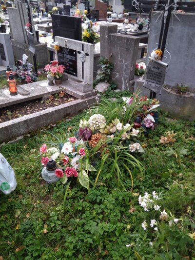 Szóste spotkanie Komitetu Ochrony Pamięci Walk i Męczeństwa przy Oddziale IPN-KŚZpNP w Krakowie. Sporządzanie dokumentacji fotograficznej grobów poległych żołnierzy – 25 września 2018