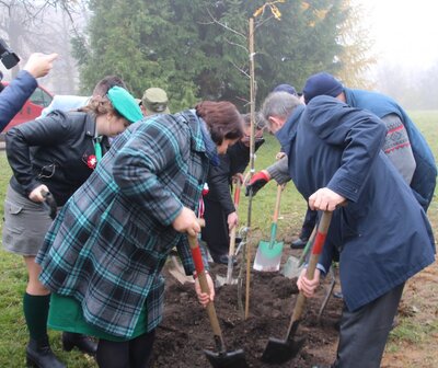 Dąb Niepodległości – Lipsk, 8 listopada 2018