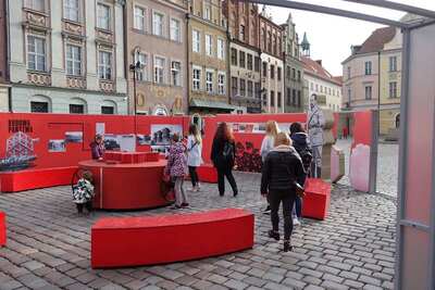 Prezentacja wystawy plenerowej „Powstała, by żyć” – Poznań, 1–12 listopada 2018