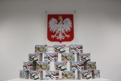 Liga Mistrzów turnieju „Gwiaździstej Eskadry” – 14 listopada 2018