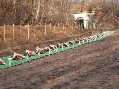 Pogrzeb szczątków ofiar niemieckich zbrodni ekshumowanych na terenie Fortu III – Pomiechówek, 15 grudnia 2018 (fot. Mateusz Niegowski)