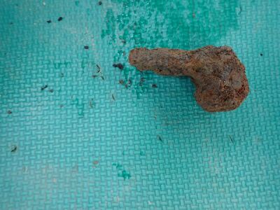 fot. Piotr Kędziora-Babiński