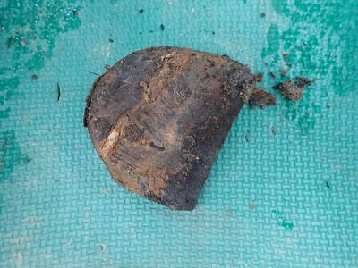 fot. Piotr Kędziora-Babiński