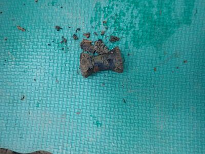 fot. Piotr Kędziora-Babiński