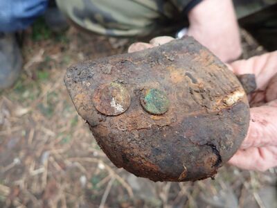 fot. Piotr Kędziora-Babiński