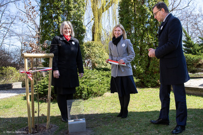 Odsłonięcie tabliczek z imionami Dębów Niepodległości przy siedzibie Wspólnoty Polskiej – Warszawa, 2 kwietnia 2019. Fot. Marcin Jurkiewicz (IPN)