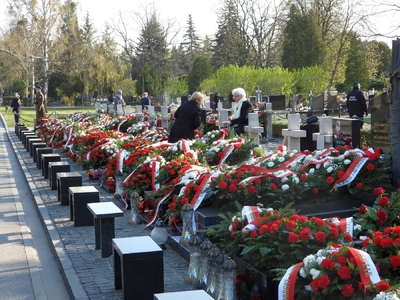 fot. Mateusz Niegowski